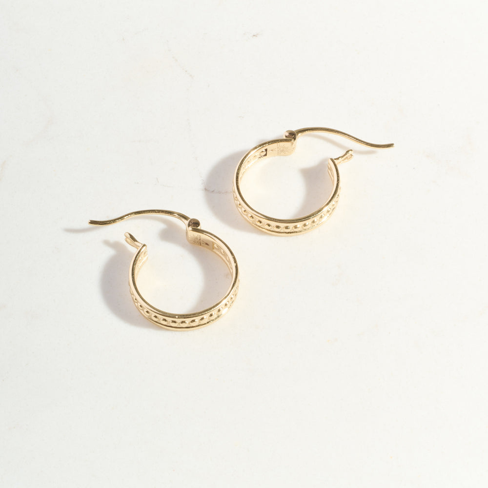
                      
                        Protection Hoops | Ready to Ship
                      
                    
