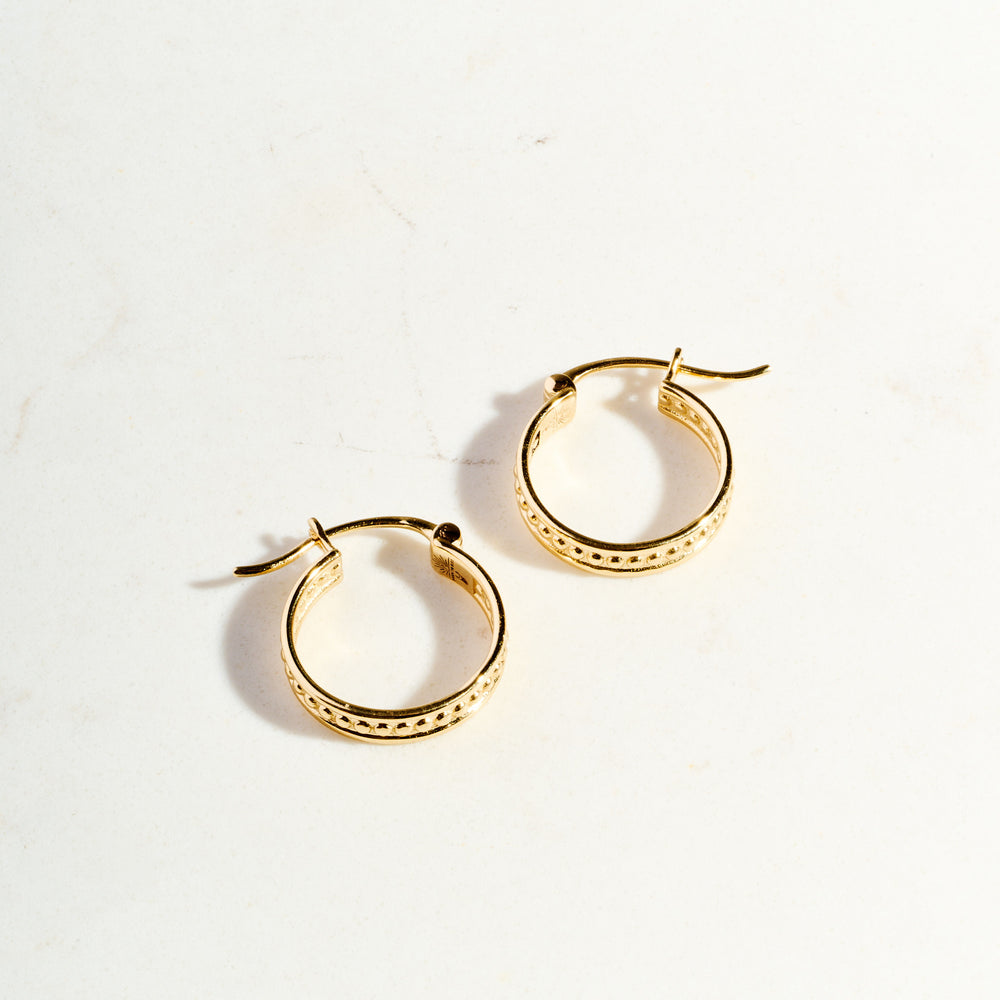 
                      
                        Protection Hoops | Ready to Ship
                      
                    