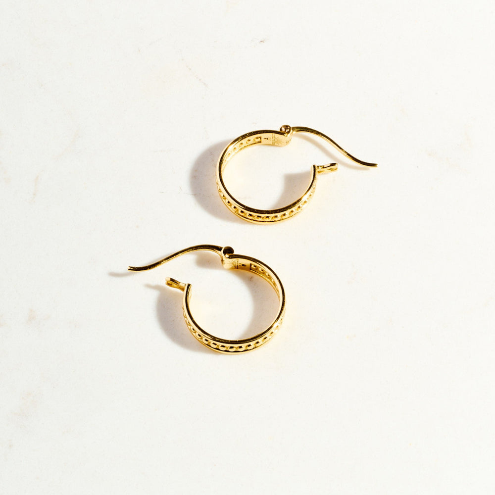 
                      
                        Protection Hoops
                      
                    