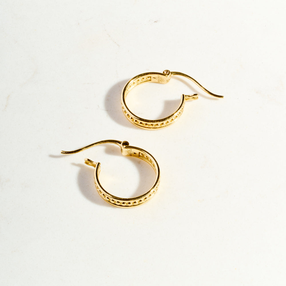 Protection Hoops