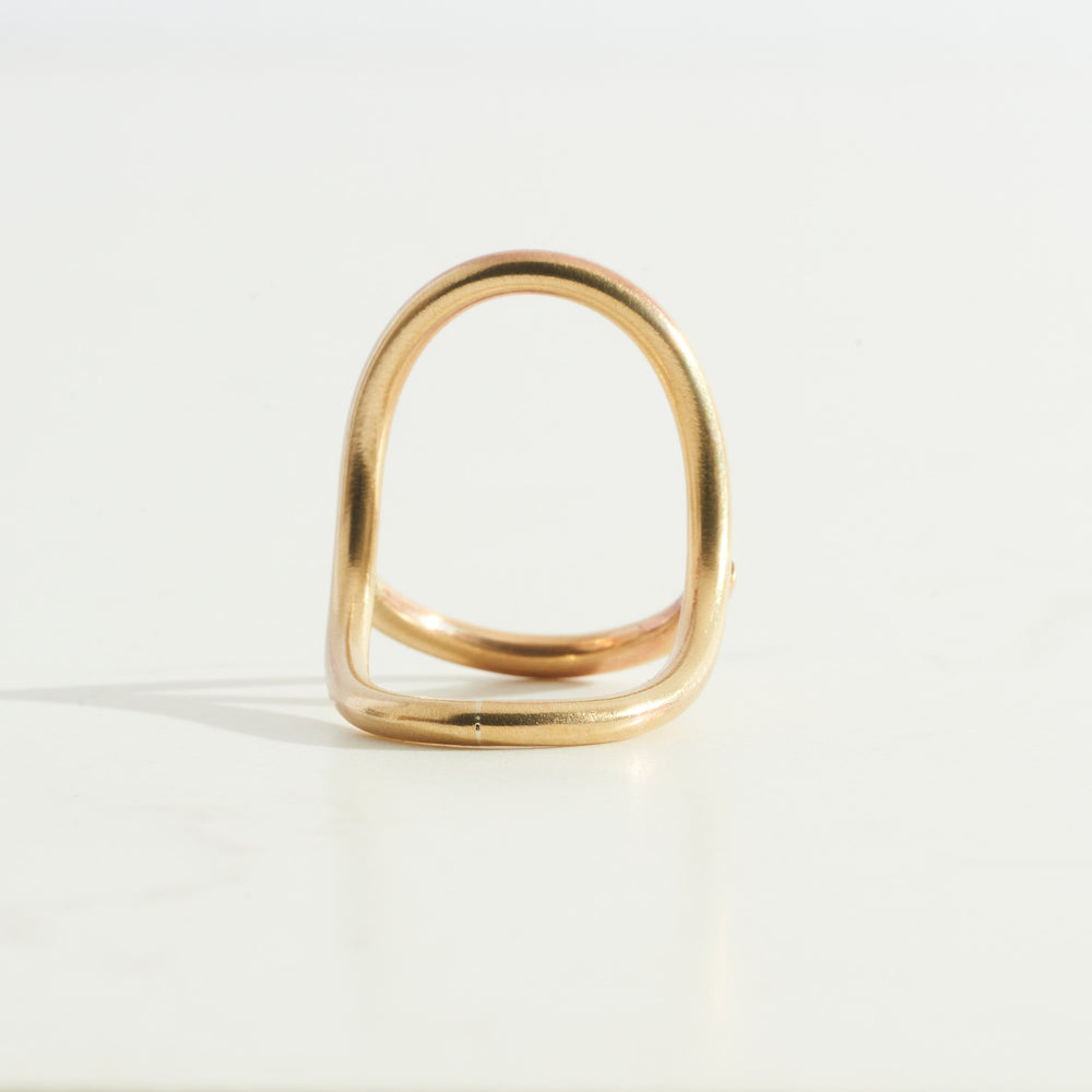 Full Circle Ring | Brass