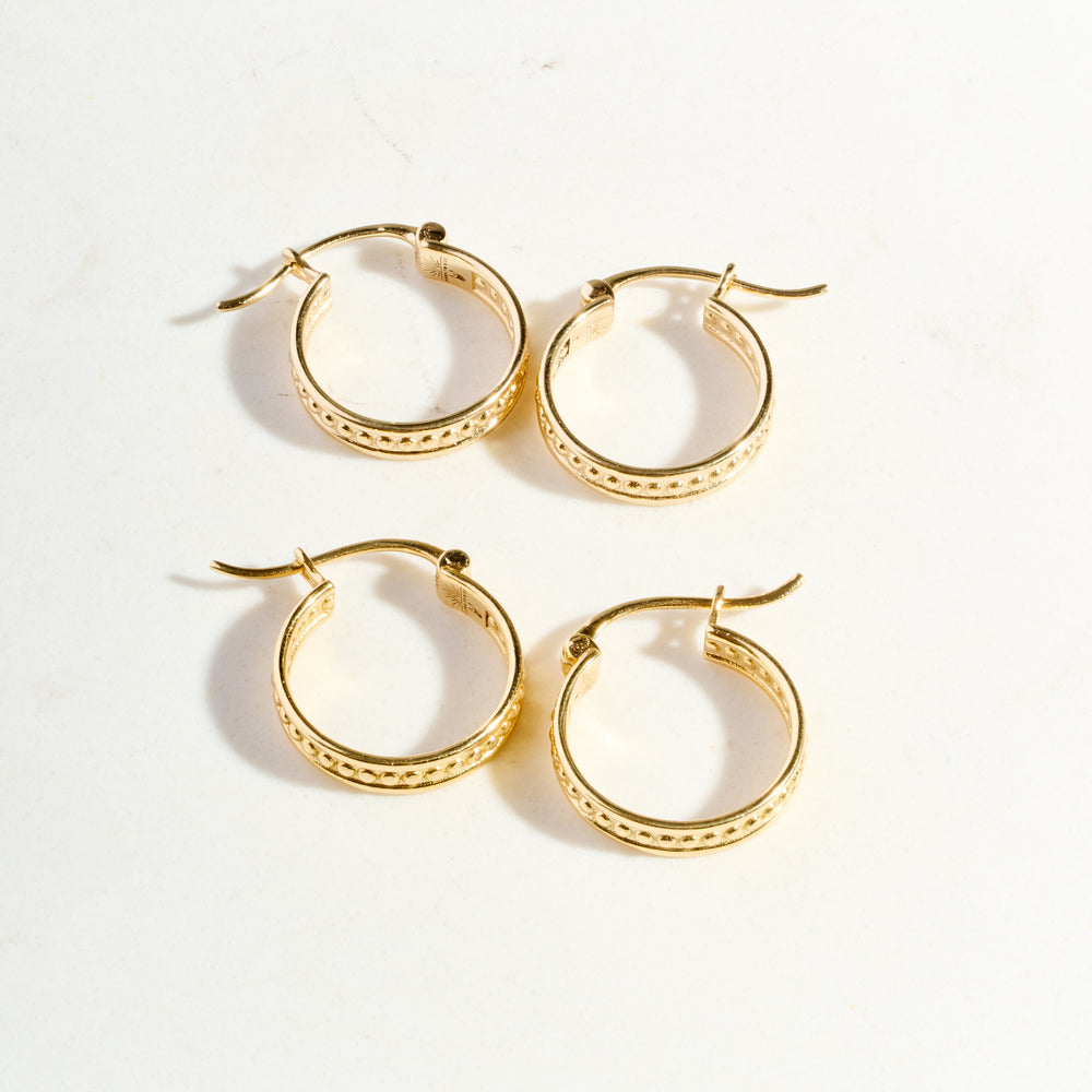 
                      
                        Protection Hoops | Ready to Ship
                      
                    